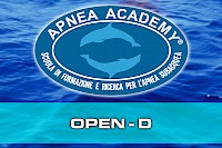 Open-D