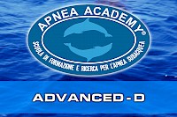 Advanced-D